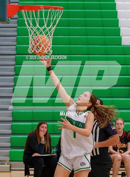 Thumbnail 3 in Pahrump Valley vs Virgin Valley (2025 NIAA Girls Basketball Quarter Finals) photogallery.