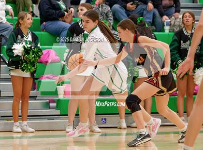 Thumbnail 3 in Pahrump Valley vs Virgin Valley (2025 NIAA Girls Basketball Quarter Finals) photogallery.