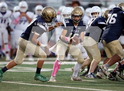 Thumbnail 2 in Franklin @ Elk Grove photogallery.