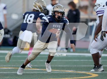 Thumbnail 1 in Franklin @ Elk Grove photogallery.
