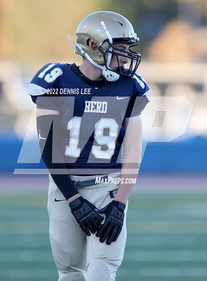 Thumbnail 1 in Franklin @ Elk Grove photogallery.