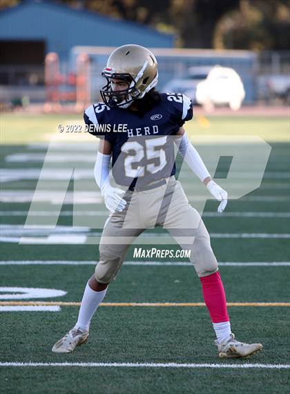 Thumbnail 2 in Franklin @ Elk Grove photogallery.