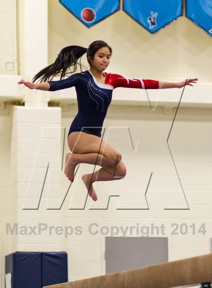 Thumbnail 2 in Yorktown Gymnastics Meet (Edison, Madison & Wakefield) photogallery.