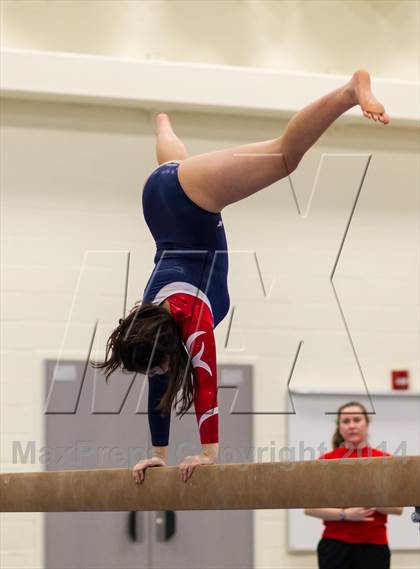 Thumbnail 1 in Yorktown Gymnastics Meet (Edison, Madison & Wakefield) photogallery.
