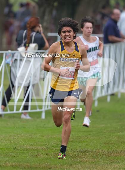 Thumbnail 1 in UIL Cross Country 6A Finals (5K) photogallery.