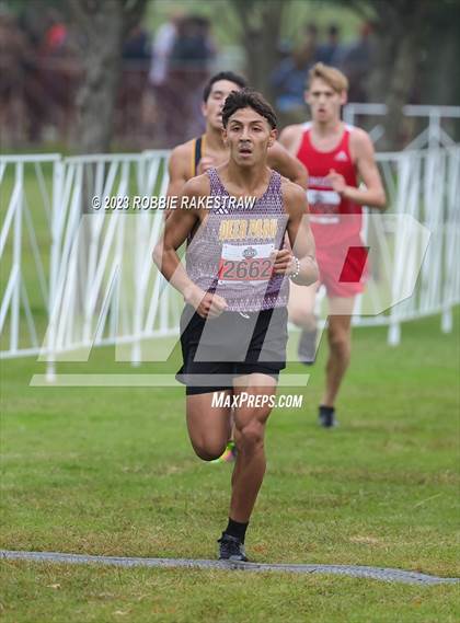 Thumbnail 1 in UIL Cross Country 6A Finals (5K) photogallery.
