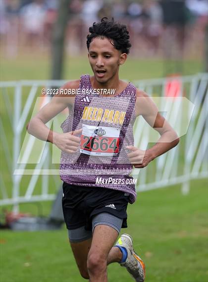 Thumbnail 3 in UIL Cross Country 6A Finals (5K) photogallery.