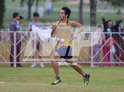 Thumbnail 2 in UIL Cross Country 6A Finals (5K) photogallery.