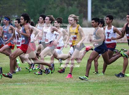 Thumbnail 1 in UIL Cross Country 6A Finals (5K) photogallery.
