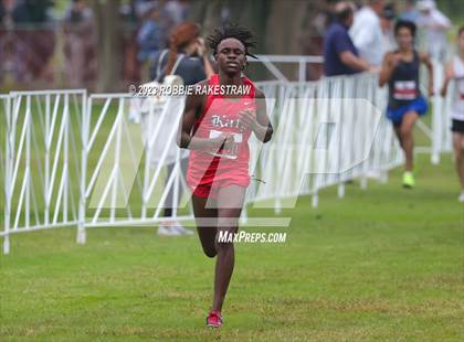 Thumbnail 2 in UIL Cross Country 6A Finals (5K) photogallery.
