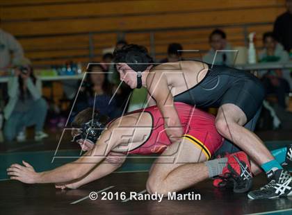 Thumbnail 3 in Jesuit @ Sheldon photogallery.