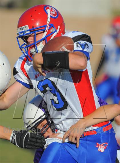 Thumbnail 3 in Antelope @ Northwest Christian photogallery.