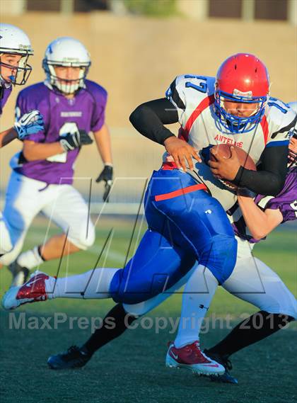 Thumbnail 1 in Antelope @ Northwest Christian photogallery.