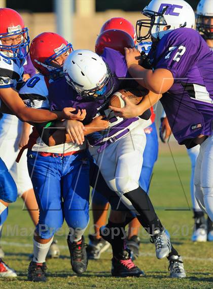 Thumbnail 1 in Antelope @ Northwest Christian photogallery.