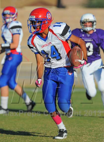 Thumbnail 1 in Antelope @ Northwest Christian photogallery.