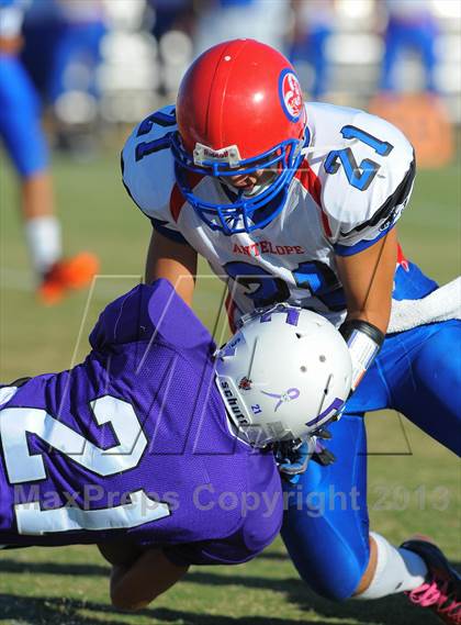 Thumbnail 1 in Antelope @ Northwest Christian photogallery.
