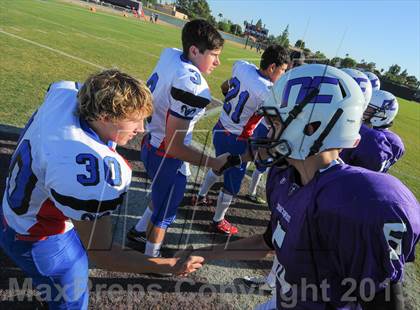 Thumbnail 2 in Antelope @ Northwest Christian photogallery.