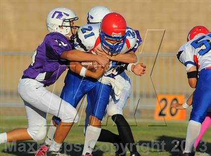 Thumbnail 1 in Antelope @ Northwest Christian photogallery.