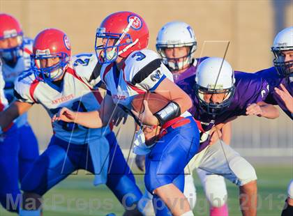 Thumbnail 1 in Antelope @ Northwest Christian photogallery.