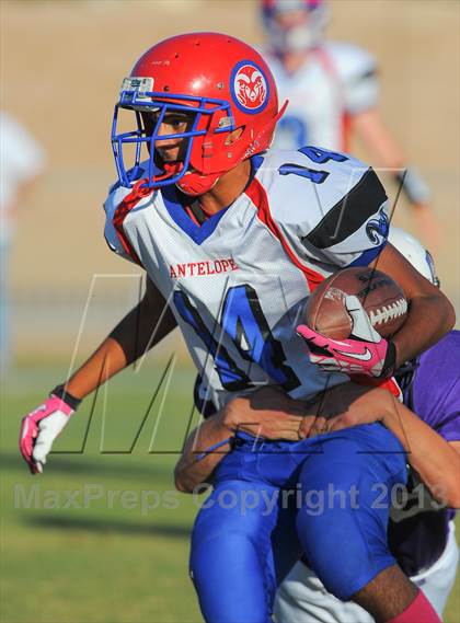 Thumbnail 3 in Antelope @ Northwest Christian photogallery.