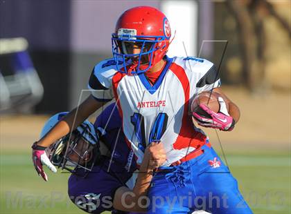 Thumbnail 1 in Antelope @ Northwest Christian photogallery.