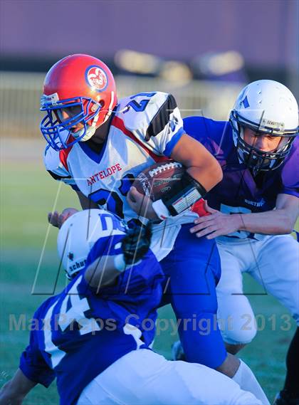 Thumbnail 3 in Antelope @ Northwest Christian photogallery.