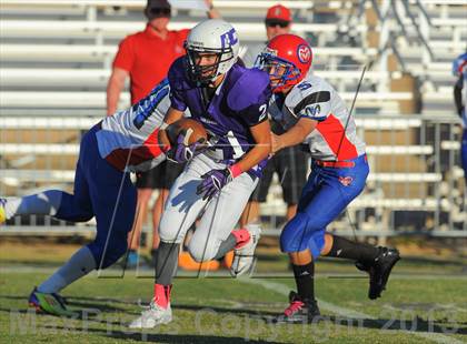 Thumbnail 1 in Antelope @ Northwest Christian photogallery.