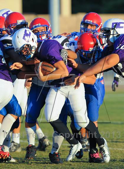 Thumbnail 2 in Antelope @ Northwest Christian photogallery.