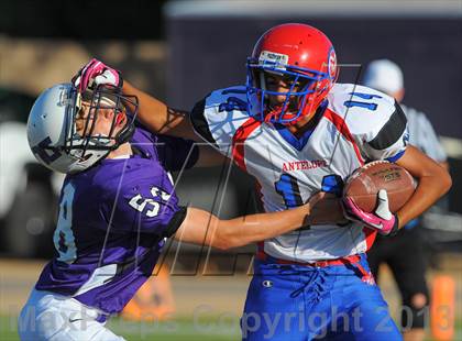 Thumbnail 1 in Antelope @ Northwest Christian photogallery.