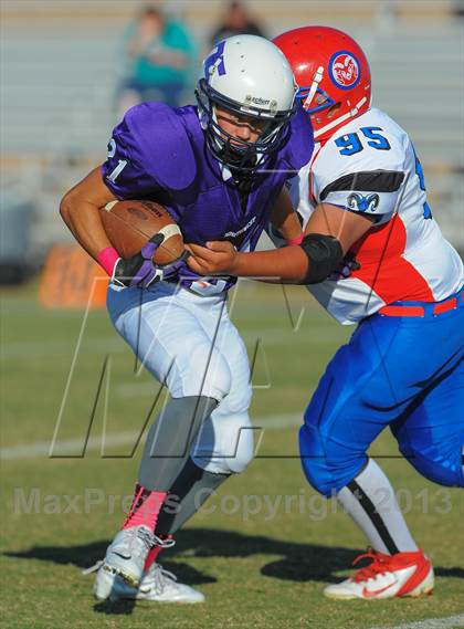 Thumbnail 1 in Antelope @ Northwest Christian photogallery.