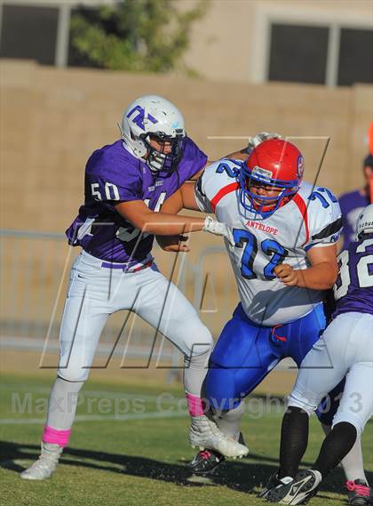 Thumbnail 3 in Antelope @ Northwest Christian photogallery.