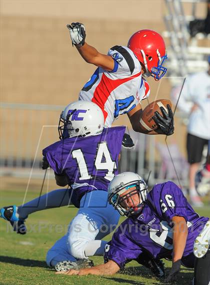 Thumbnail 2 in Antelope @ Northwest Christian photogallery.