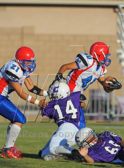 Thumbnail 3 in Antelope @ Northwest Christian photogallery.
