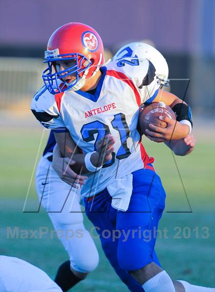 Thumbnail 2 in Antelope @ Northwest Christian photogallery.