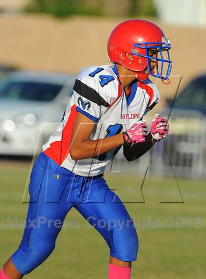 Thumbnail 1 in Antelope @ Northwest Christian photogallery.