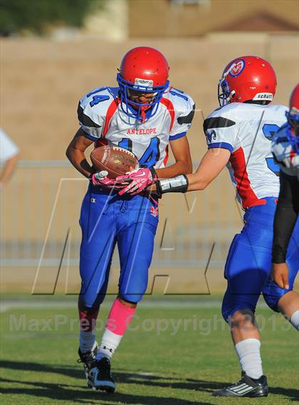 Thumbnail 2 in Antelope @ Northwest Christian photogallery.