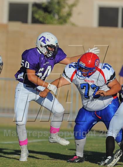 Thumbnail 1 in Antelope @ Northwest Christian photogallery.