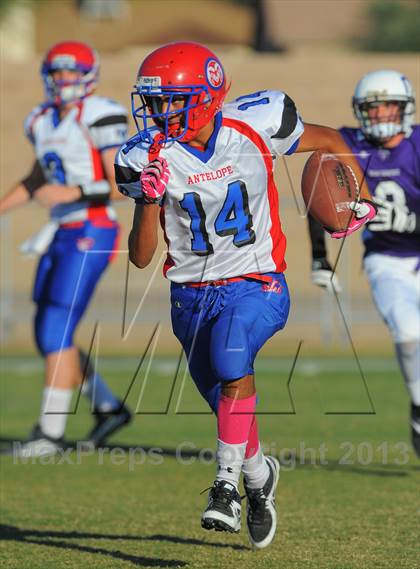 Thumbnail 2 in Antelope @ Northwest Christian photogallery.