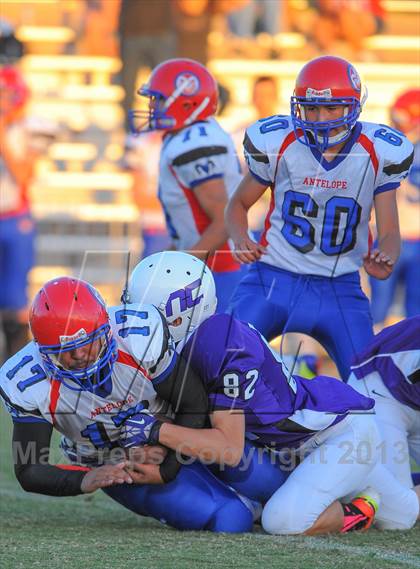 Thumbnail 1 in Antelope @ Northwest Christian photogallery.