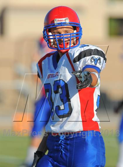 Thumbnail 2 in Antelope @ Northwest Christian photogallery.