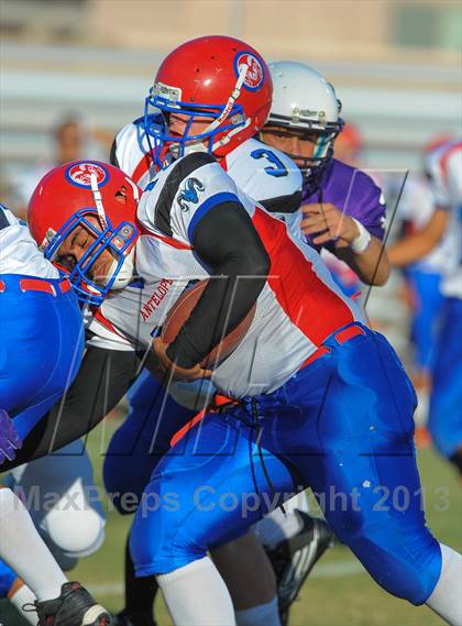 Thumbnail 3 in Antelope @ Northwest Christian photogallery.