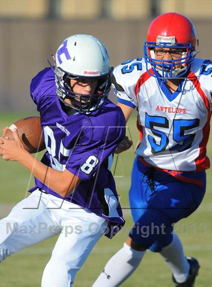Thumbnail 1 in Antelope @ Northwest Christian photogallery.