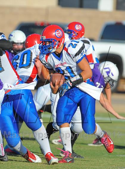 Thumbnail 3 in Antelope @ Northwest Christian photogallery.