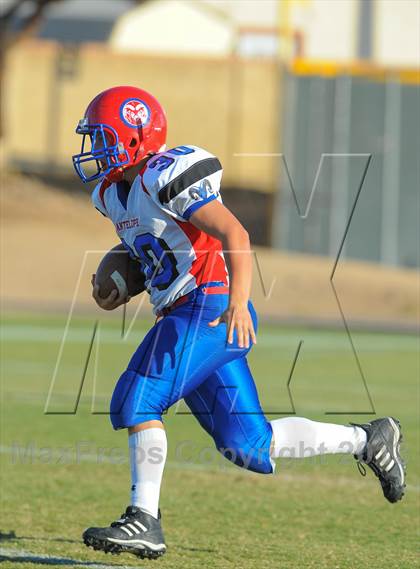 Thumbnail 3 in Antelope @ Northwest Christian photogallery.
