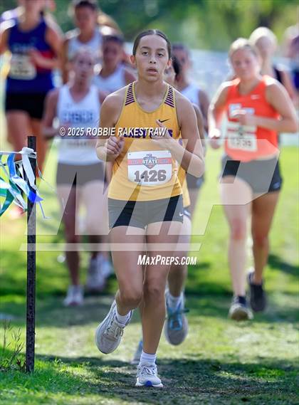 Thumbnail 3 in UIL 2A Girls Cross Country State Final photogallery.