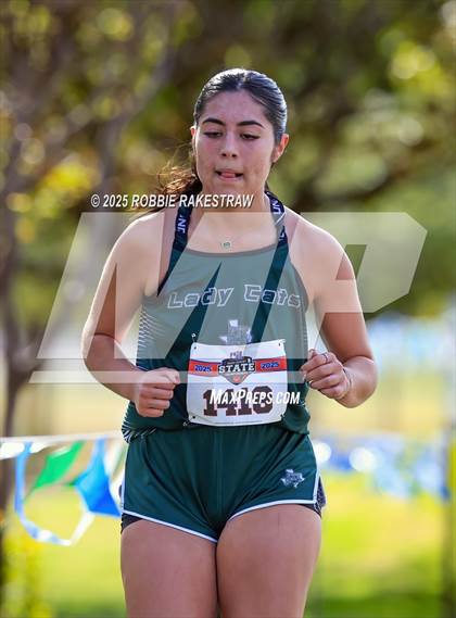 Thumbnail 3 in UIL 2A Girls Cross Country State Final photogallery.