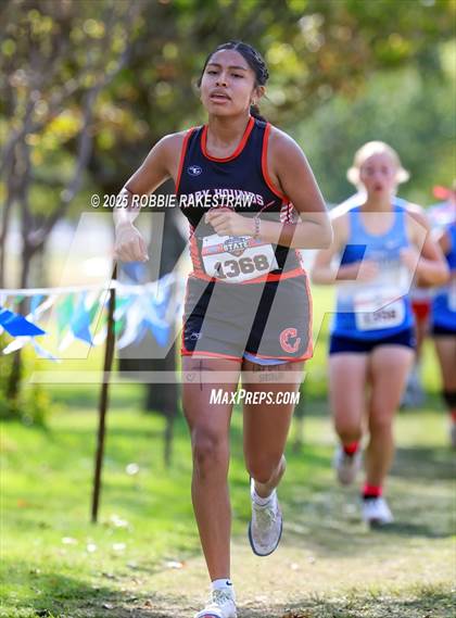 Thumbnail 1 in UIL 2A Girls Cross Country State Final photogallery.