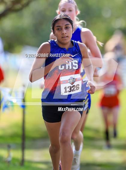 Thumbnail 3 in UIL 2A Girls Cross Country State Final photogallery.