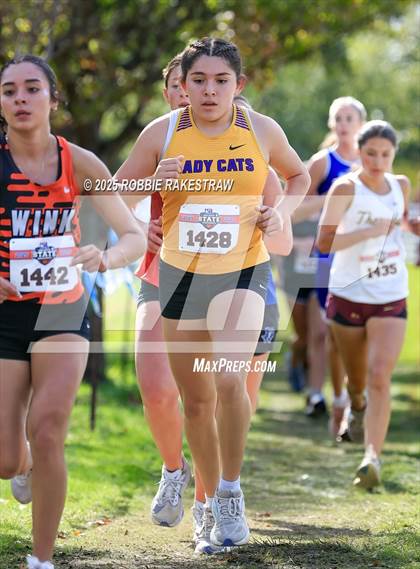 Thumbnail 1 in UIL 2A Girls Cross Country State Final photogallery.