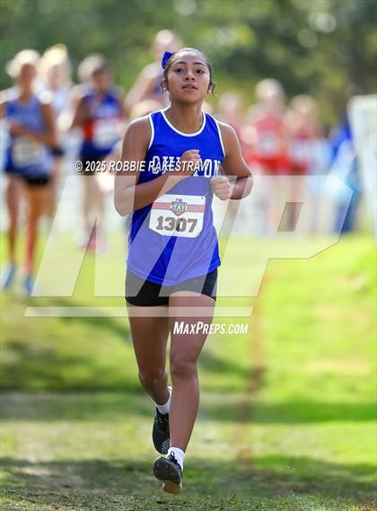 Thumbnail 2 in UIL 2A Girls Cross Country State Final photogallery.